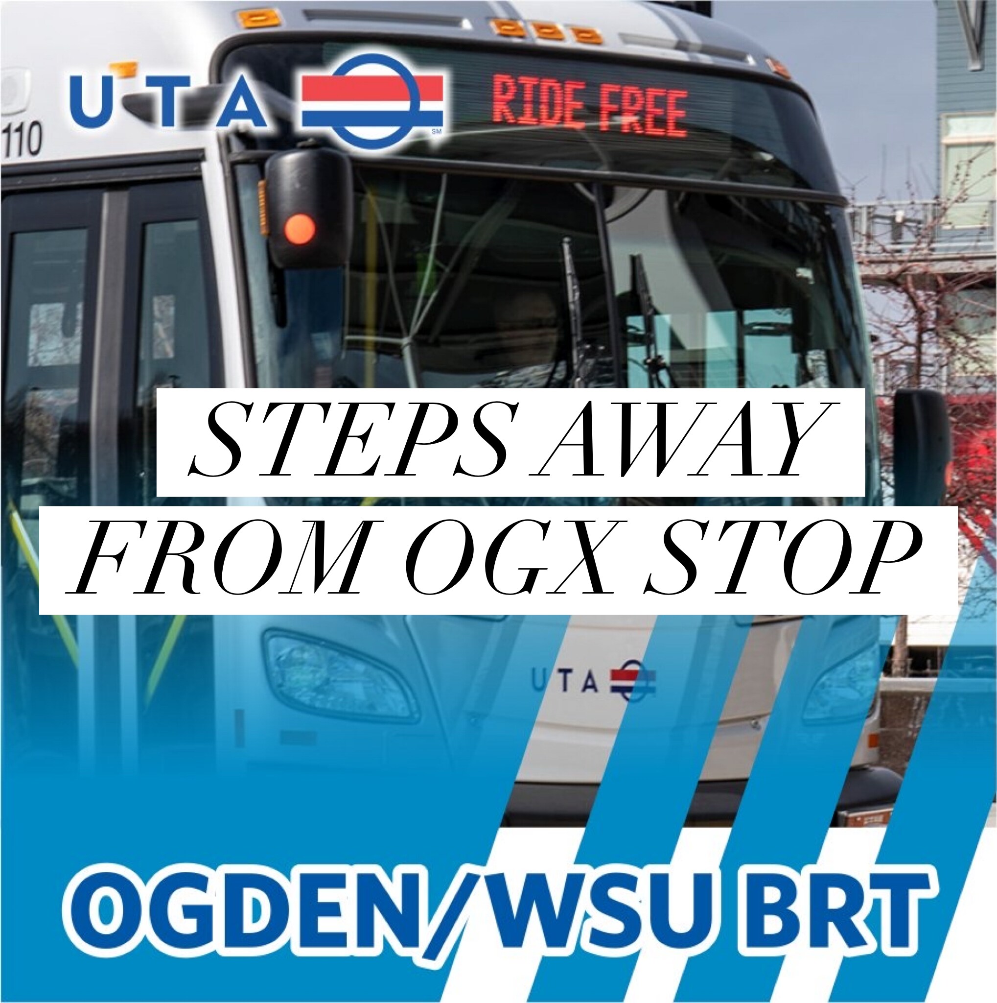 Building Photo - 2520 Jefferson Ave