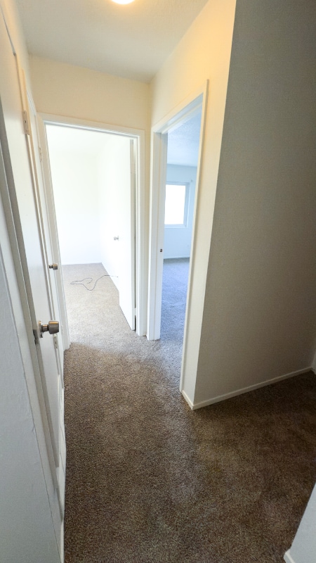 Building Photo - 1423 Del Rio Cir