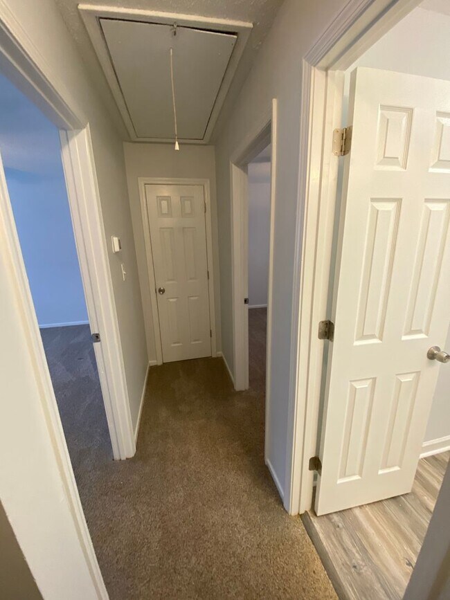 Building Photo - Ivy Street Duplex