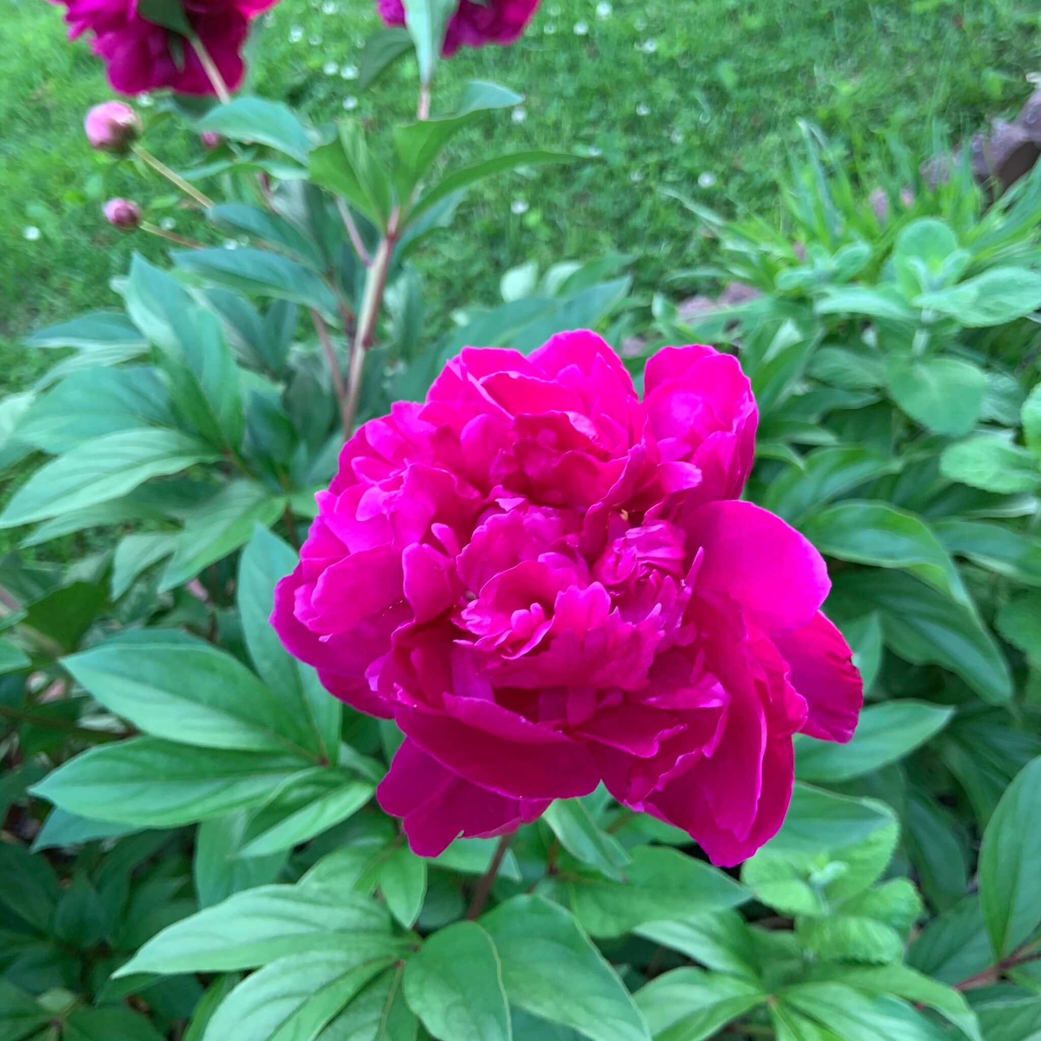 Building Photo - 5208 Heming Ave