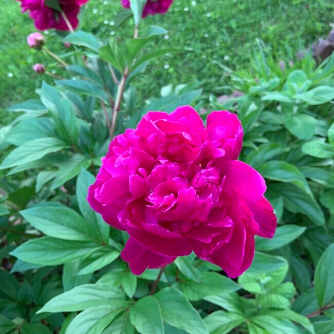 Primary Photo - 5208 Heming Ave