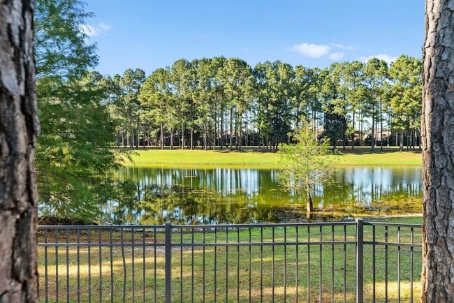 Building Photo - 554 Camellia Ct