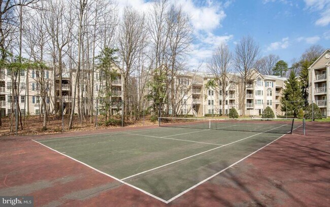 Building Photo - 12205 Fairfield House Dr