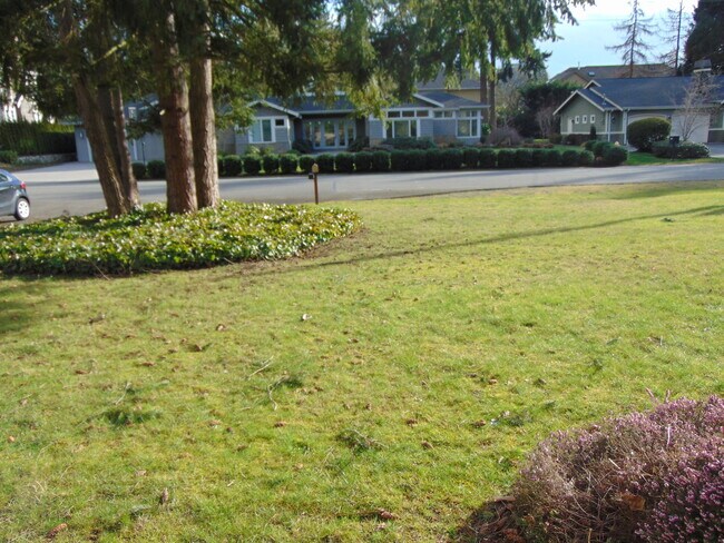 Building Photo - 3 Bedroom/1.75 Bath Bellevue Remodeled Ram...
