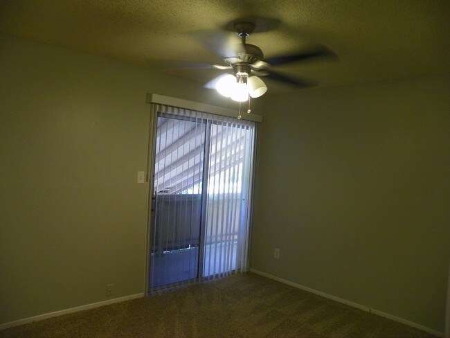 Building Photo - 3406 Dolphin Dr