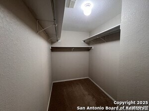 Building Photo - 11007 Braes Grove