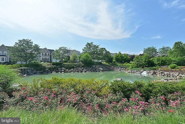 Building Photo - 22641 Blue Elder Terrace