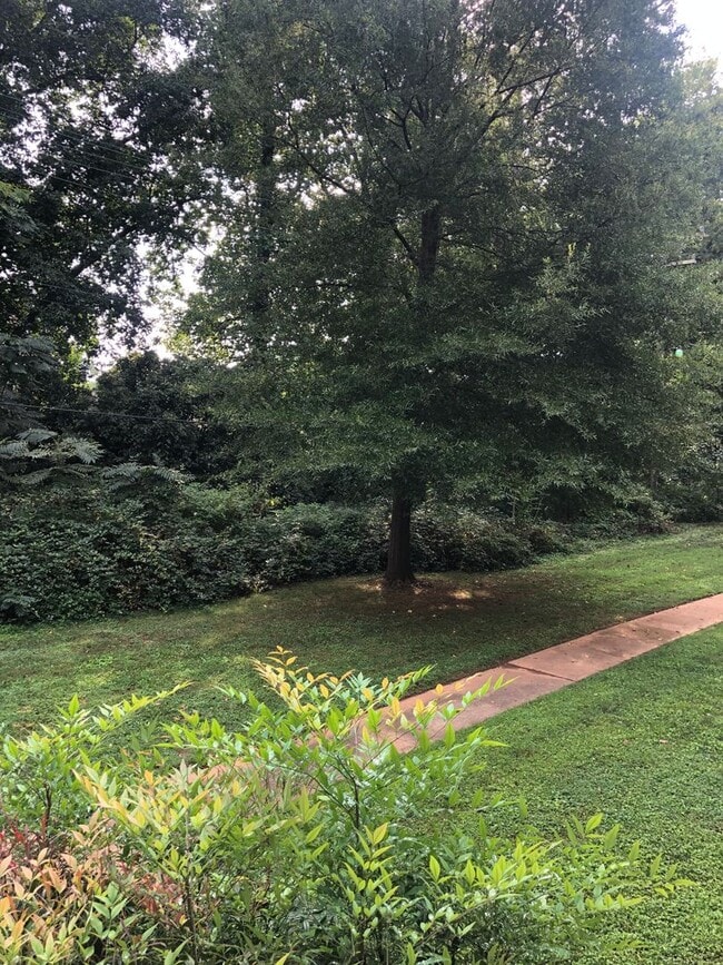 Primary Photo - Greenville 2BD/1BA, 896SF