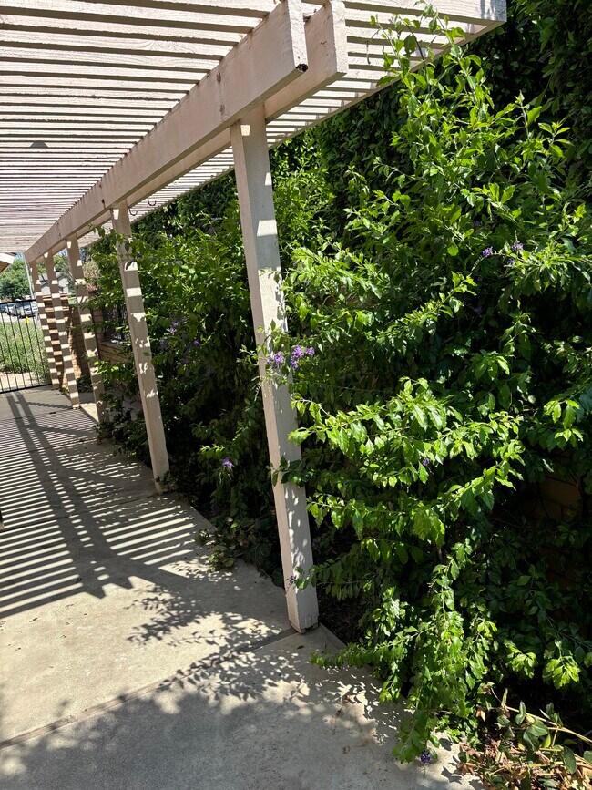 Building Photo - 29 Almond Tree Ln