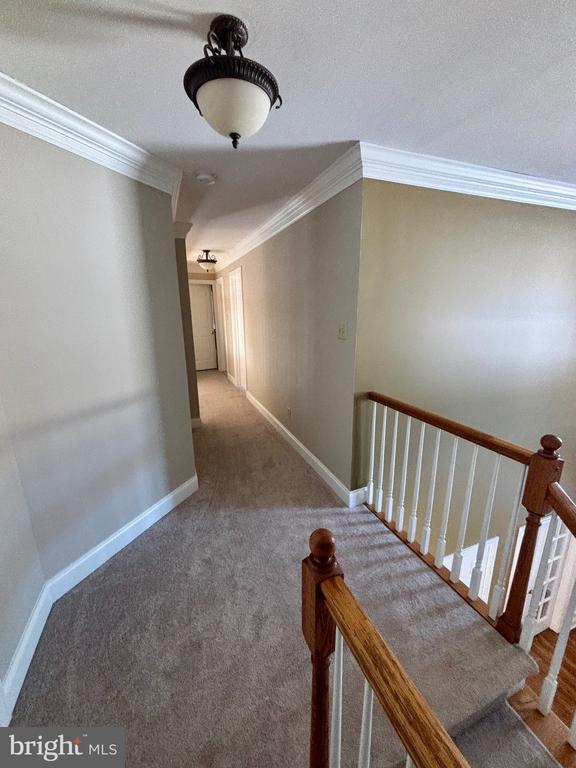 Building Photo - 15 Highgate Ln