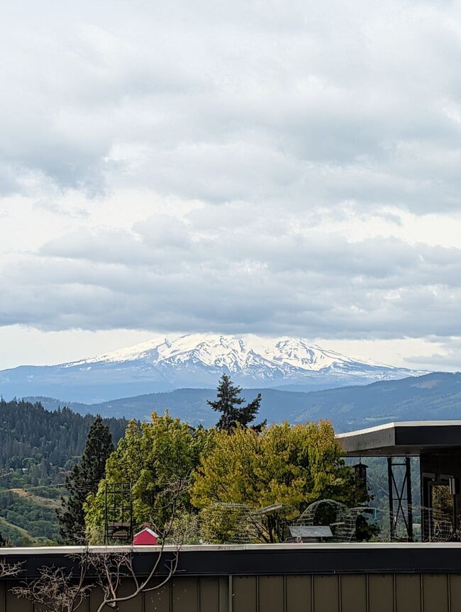 Building Photo - 1 Bedroom 1 Bath | White Salmon, WA