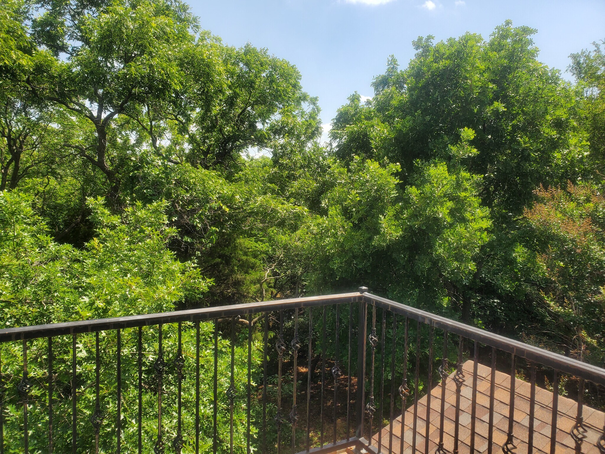 Private Balcony View One - 1409 Hackett Creek Dr
