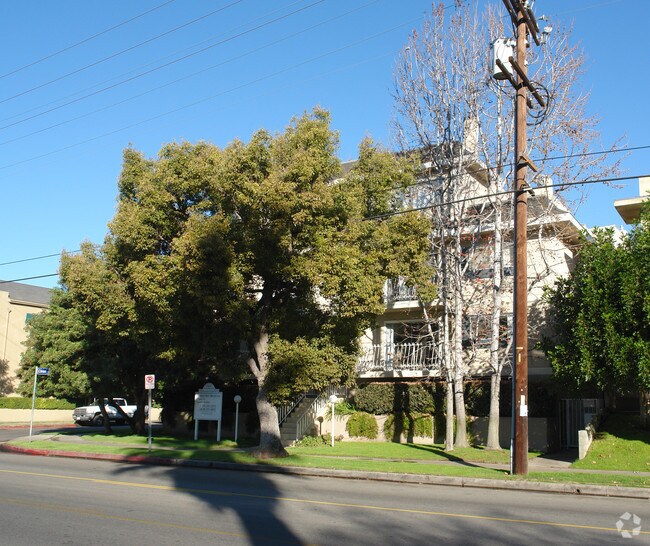 tree obstsruction - 10853 Camarillo St