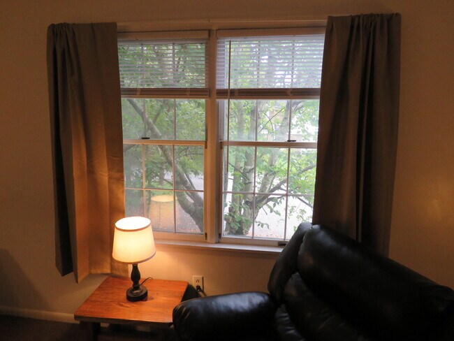 Living Room View - 237 Gompers Ave
