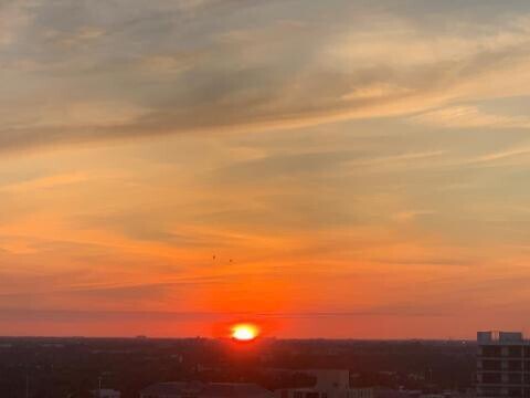 Building Photo - 3430 Galt Ocean Dr