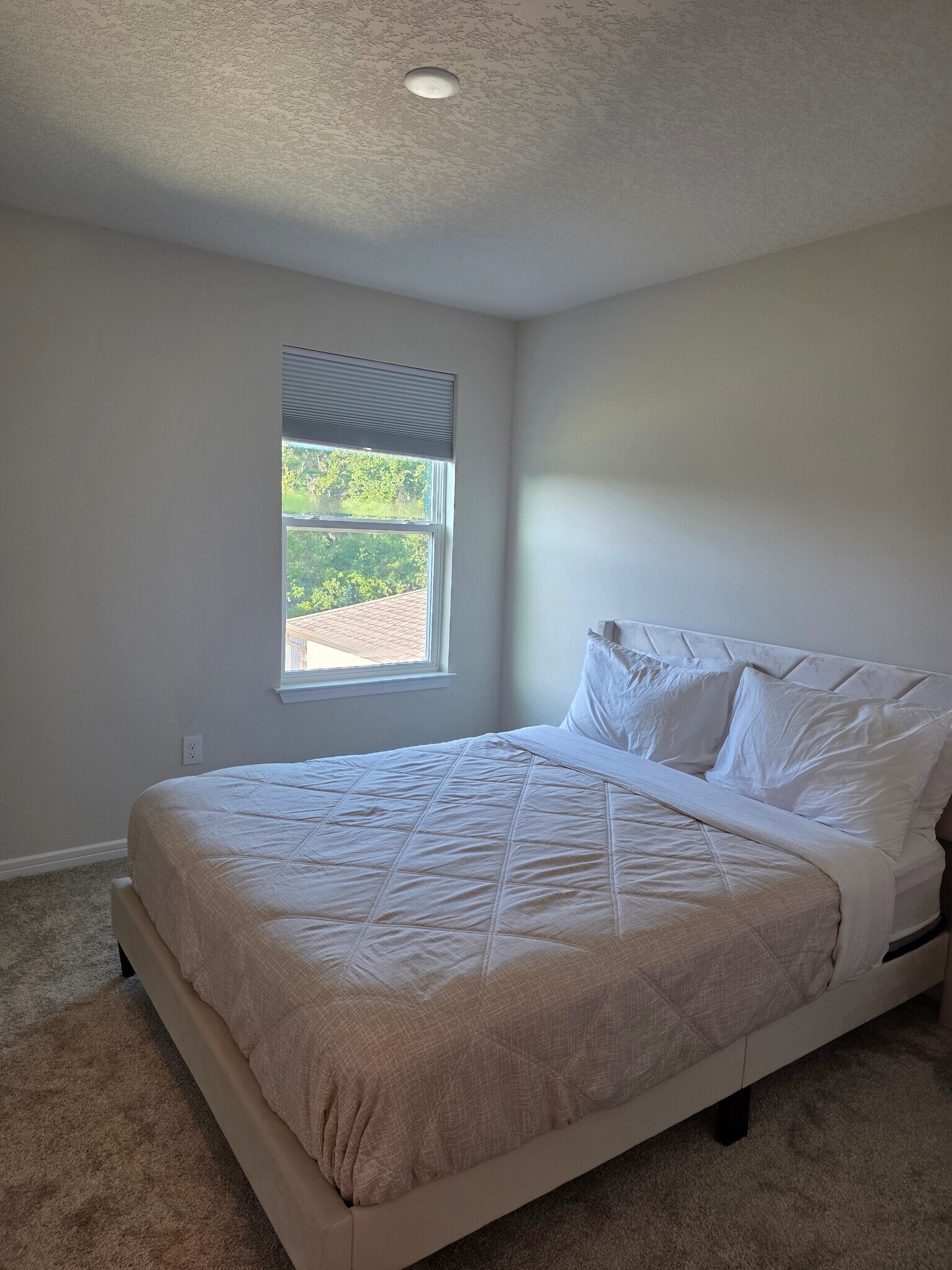 Building Photo - 12963 Brookside Moss Dr