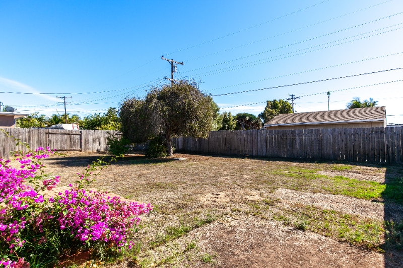Building Photo - 3481 Idlewild Way