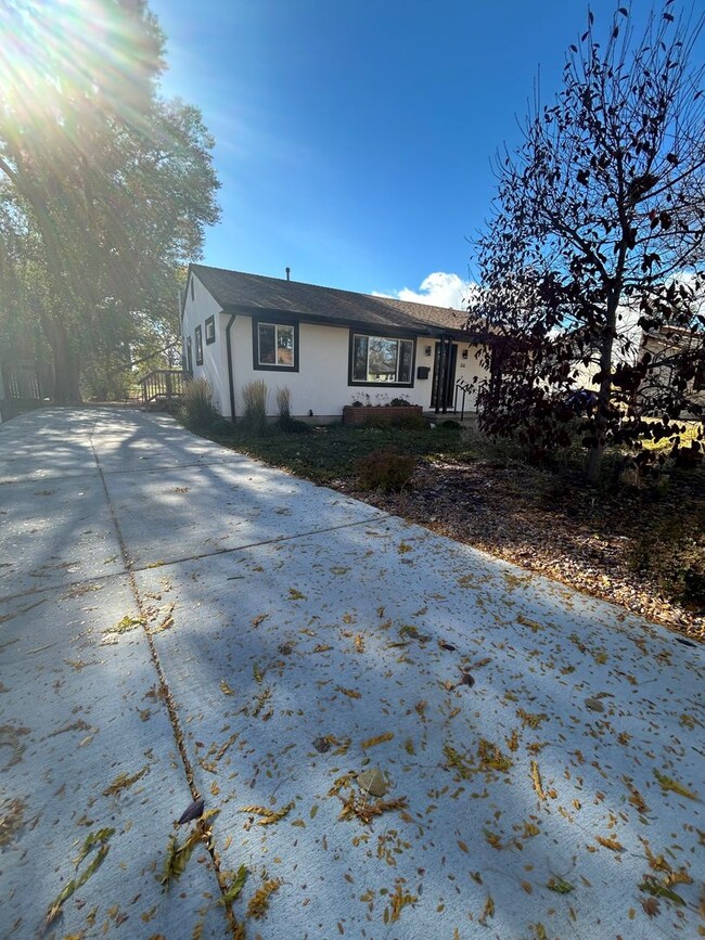 Building Photo - Newly Remodeled Ranch Backs to Patty Jewett