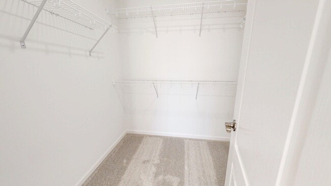 Building Photo - 5557 E Spaniel Dr