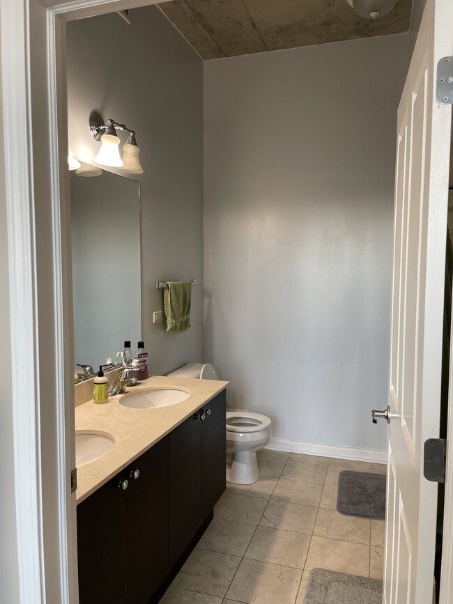 master bath - 1464 S Michigan Ave