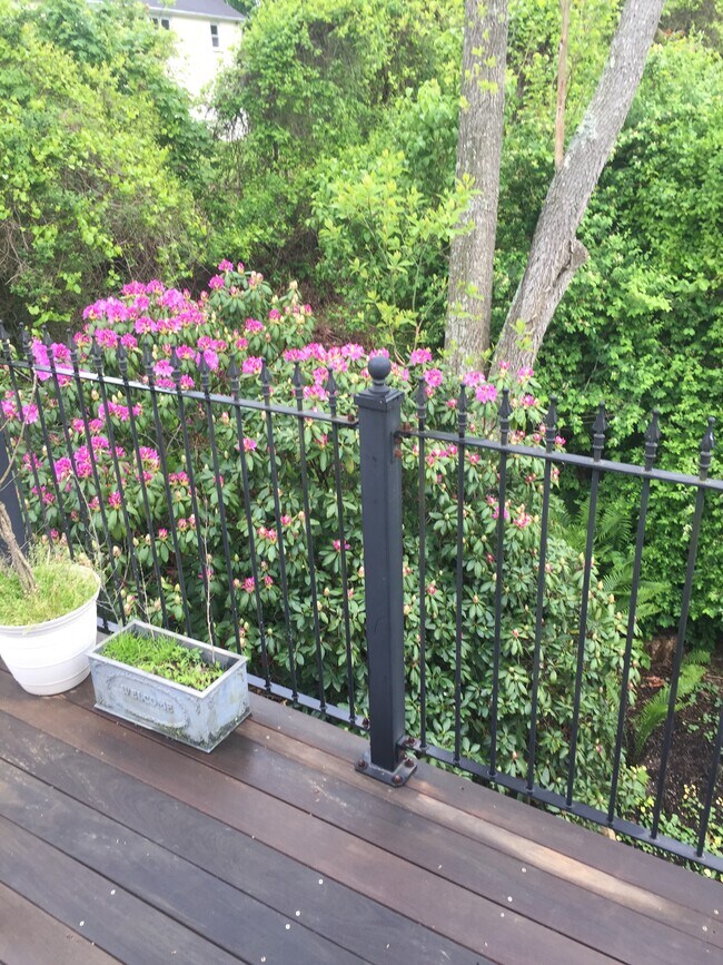 Building Photo - 4 Matisse Dr