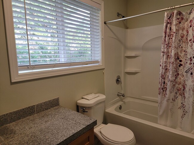 Building Photo - Cozy 1 bedroom 1 bath newly remodeled apar...