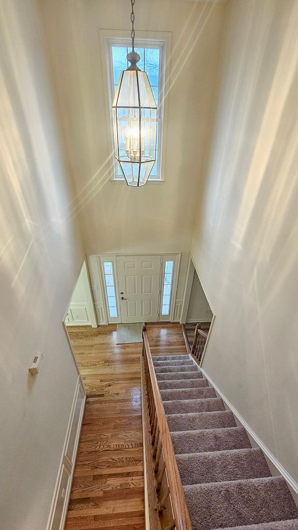 Building Photo - Bright & Spacious Home in Fredericksburg!