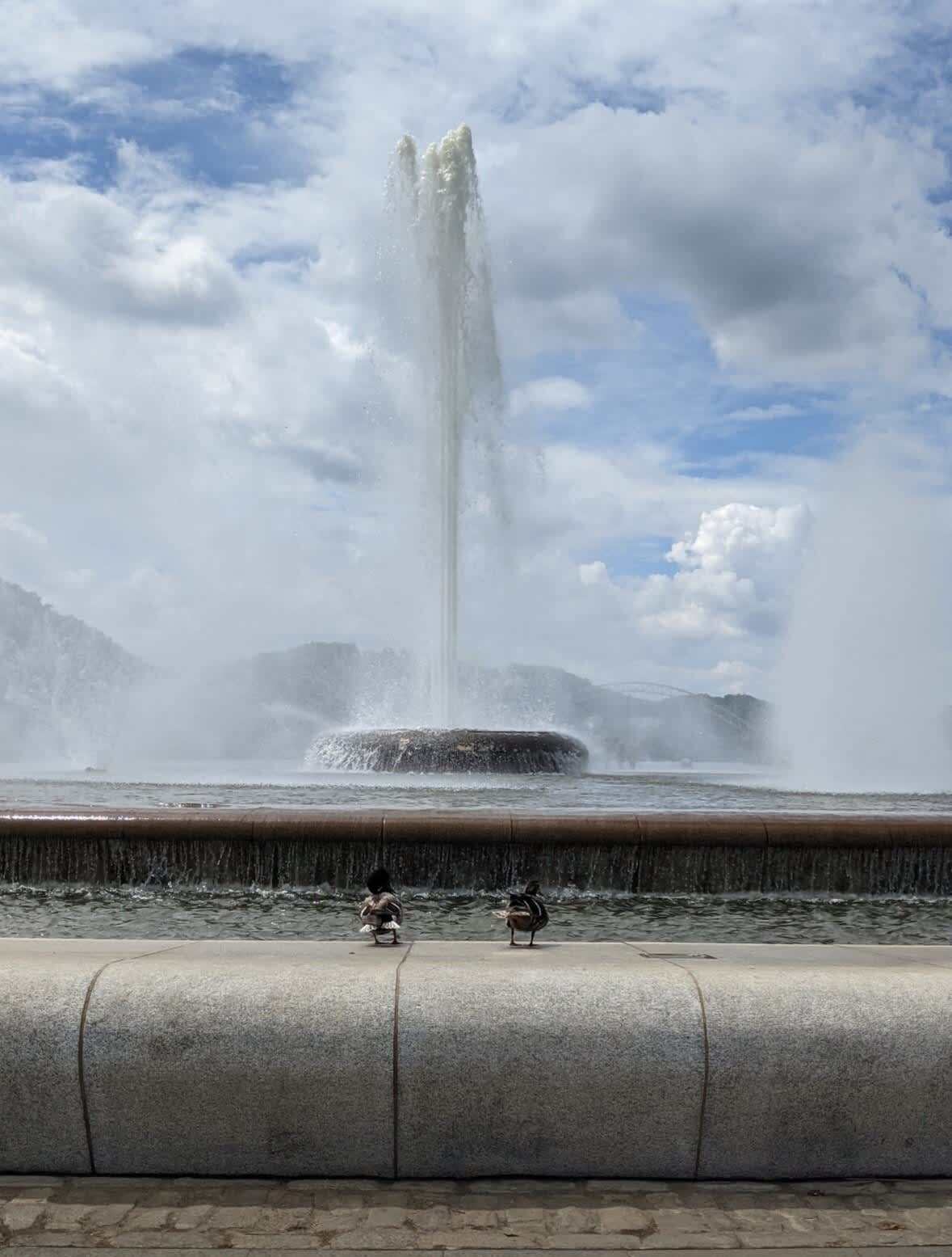 The Neighborhood - 1238 Butterfield Way