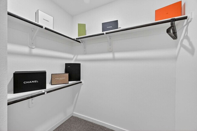 Building Photo - 2910 El Fenice Ln