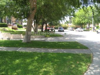cul-de-sac - 1631 E Cypress St