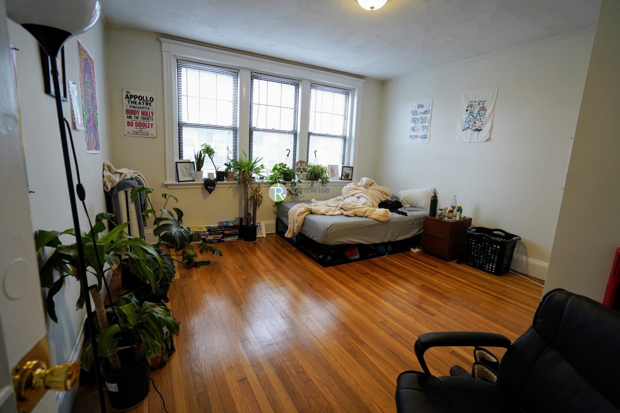 Building Photo - 294 Harvard St