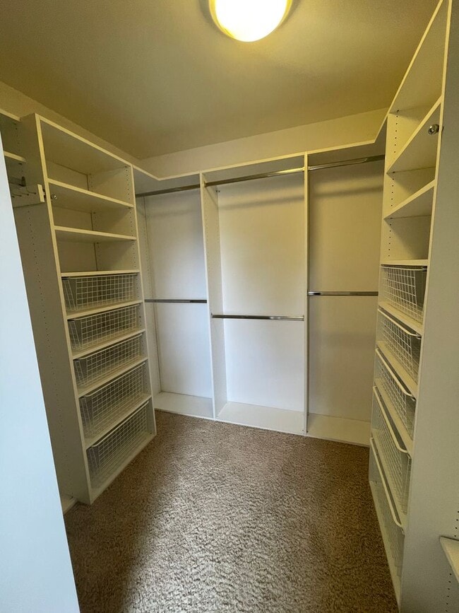 Building Photo - Clairemont Beauty - Welcome Home!