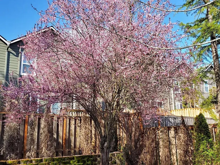 Building Photo - 16167 NW Ryegrass St