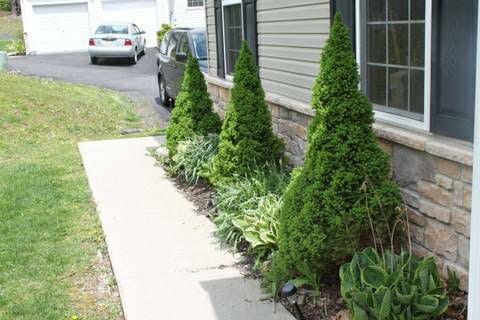 Building Photo - 808 Brushy Mountain Rd