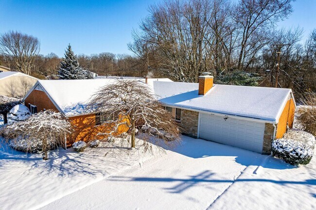 Building Photo - Newly Renovated