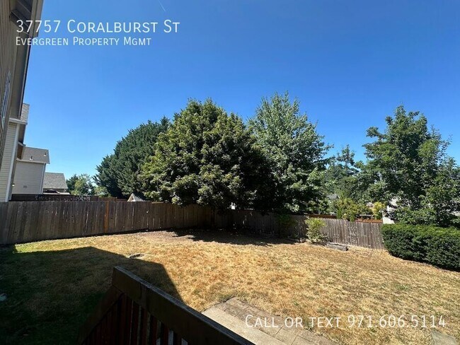 Building Photo - 37757 Coralburst St