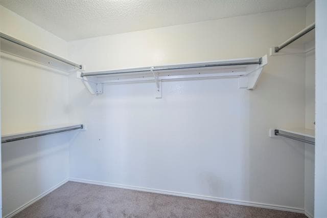 Building Photo - 4716 Bull Run Dr