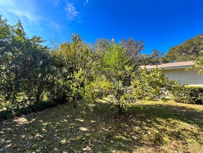 Building Photo - Pet Friendly 3BR/2BA NW Gainesville Home - Available mid-July!