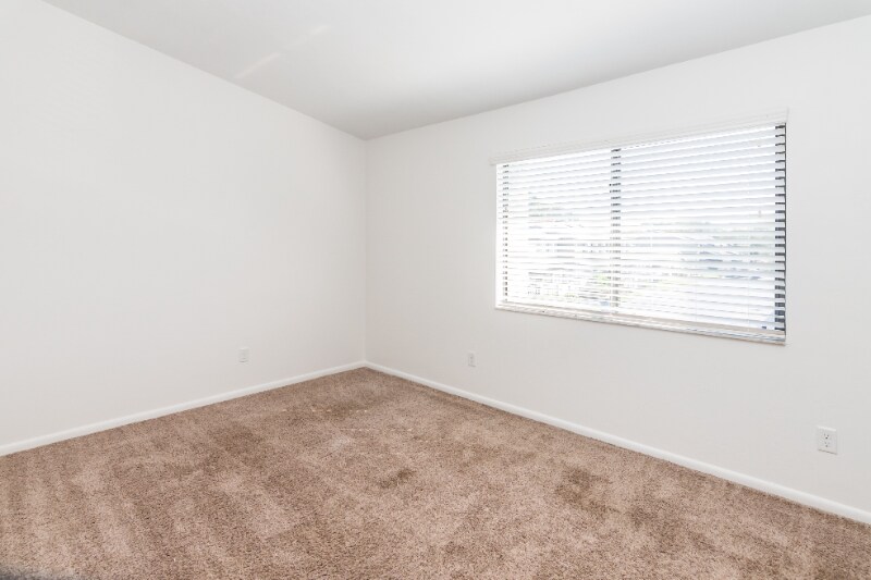 Building Photo - 210 Lemon Tree Ln