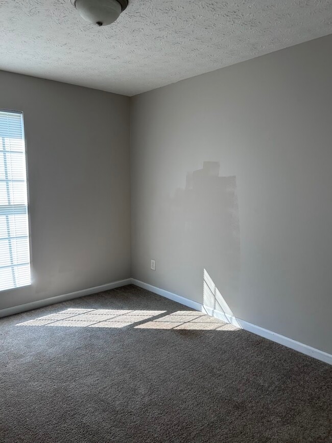 Building Photo - 1809 Thrasher Ct