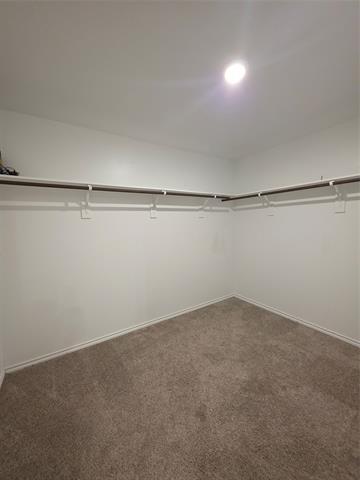 Building Photo - 207 Weatherboard Dr