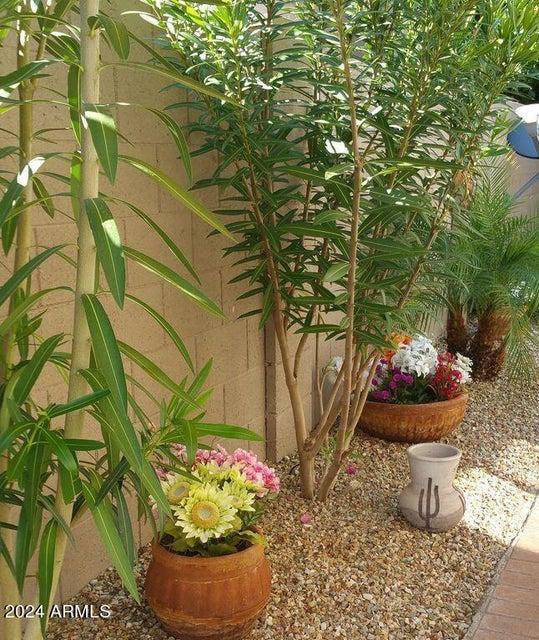 Building Photo - 3332 N Sunaire