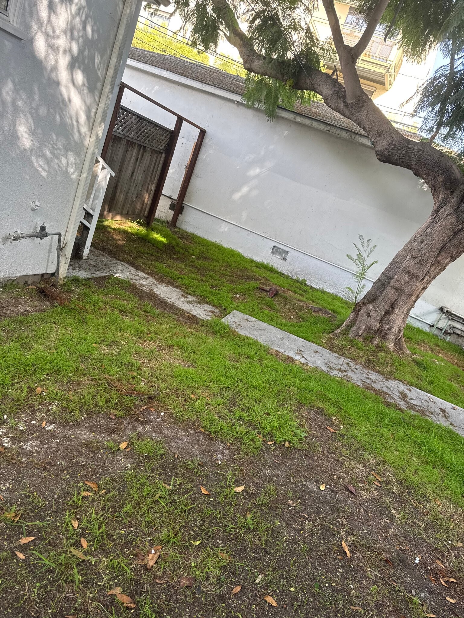 Building Photo - 1543 11th St