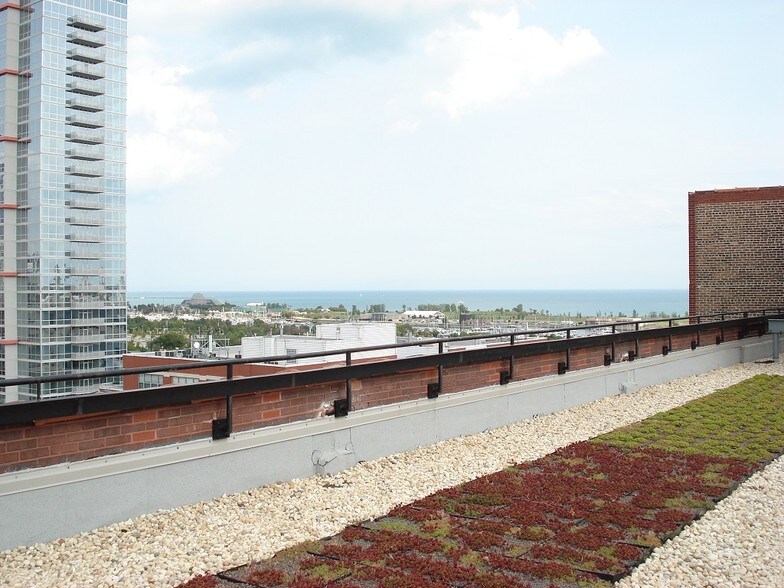 Lake view from green rooftop sundeck - 320 E 21st St