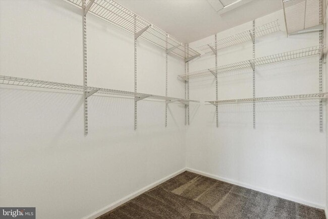 Building Photo - 806 Beacon Hill Dr