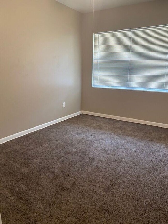 Building Photo - Coming Soon! Tampa!