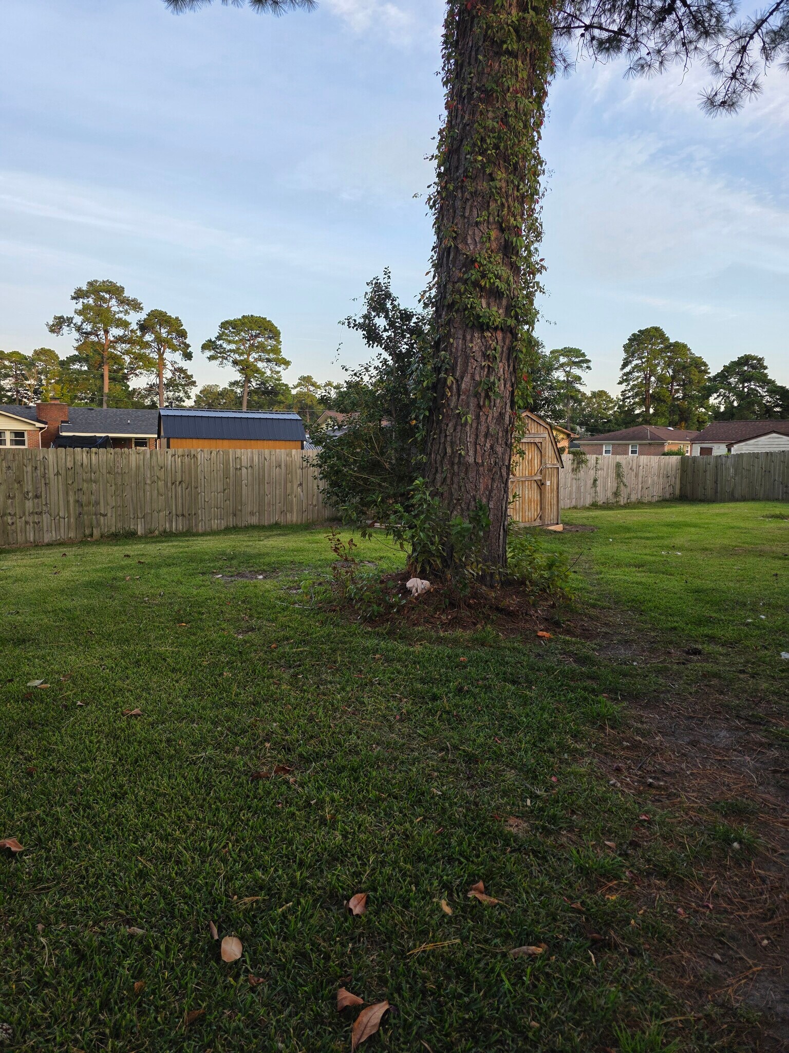 Building Photo - 1317 Roosevelt Blvd