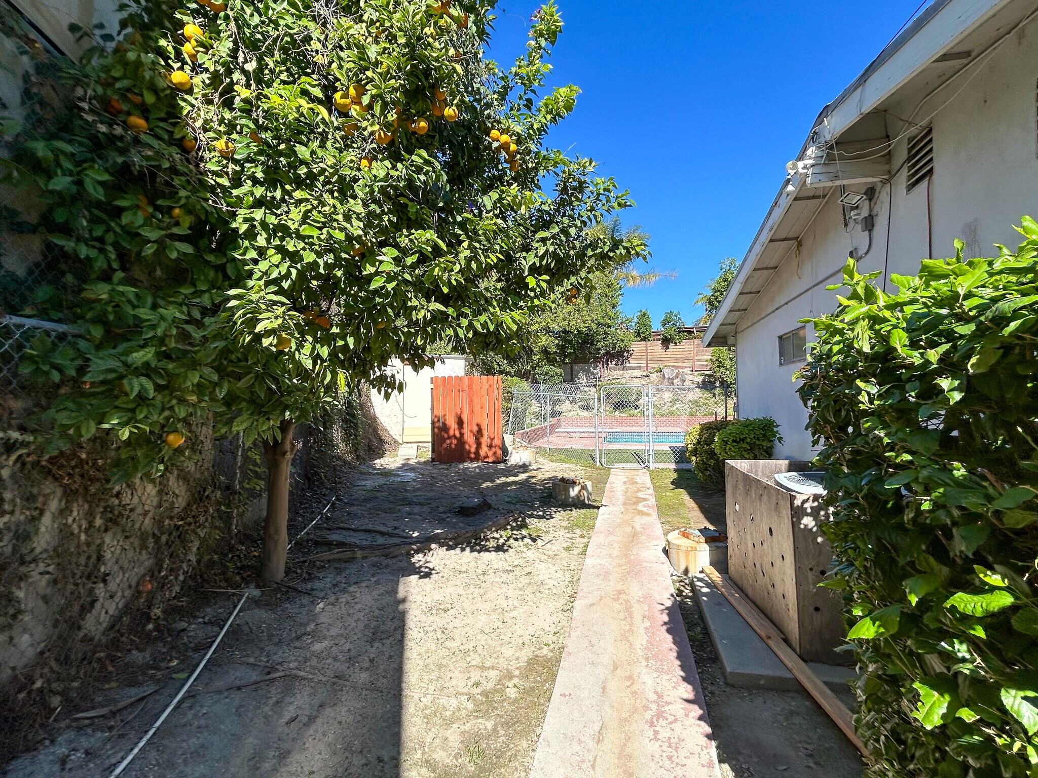 Side Yard w/Citrus Trees - 24507 Hatteras St