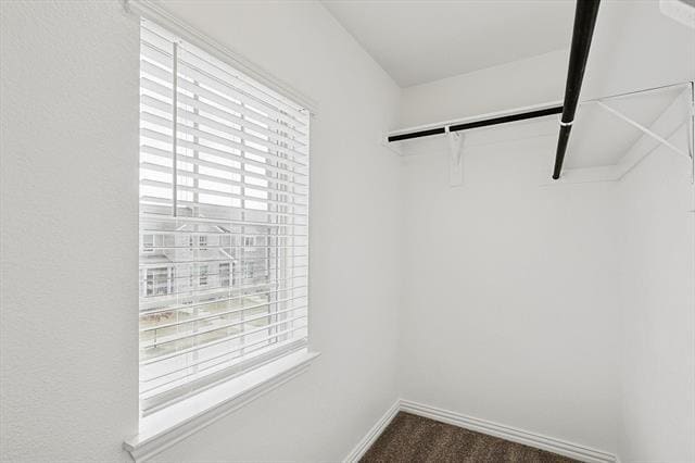 Building Photo - 3513 Cricket Dr