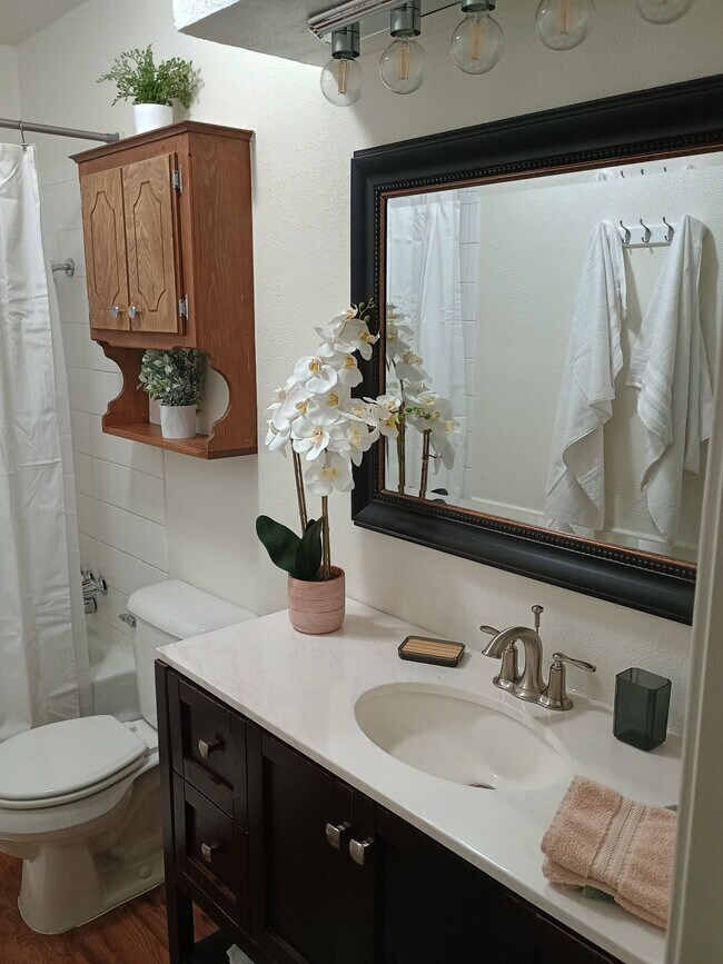 Main Bathroom - 9101 S Winston Way